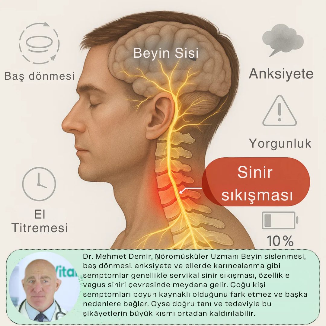 LUMBRA Boyunluk 2.0